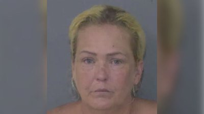 Dedra McManus Grandmother Left Baby in Hot Car on 96-Degree Day to Look at Kittens up for Adoption